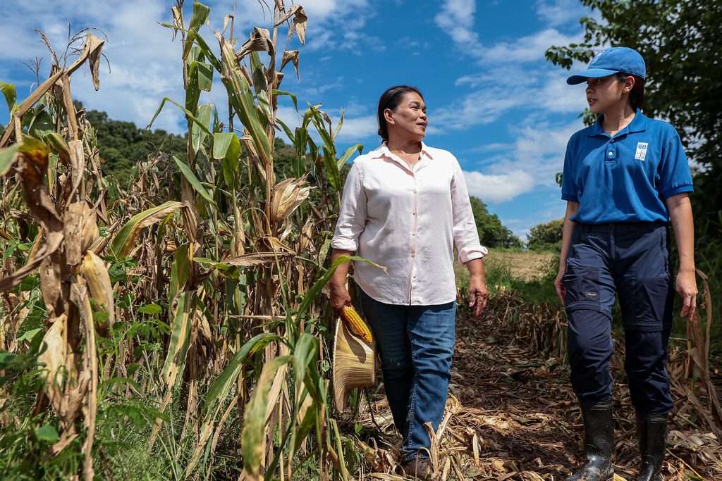 A farmer and a UNDP staff member walk together in a farm.