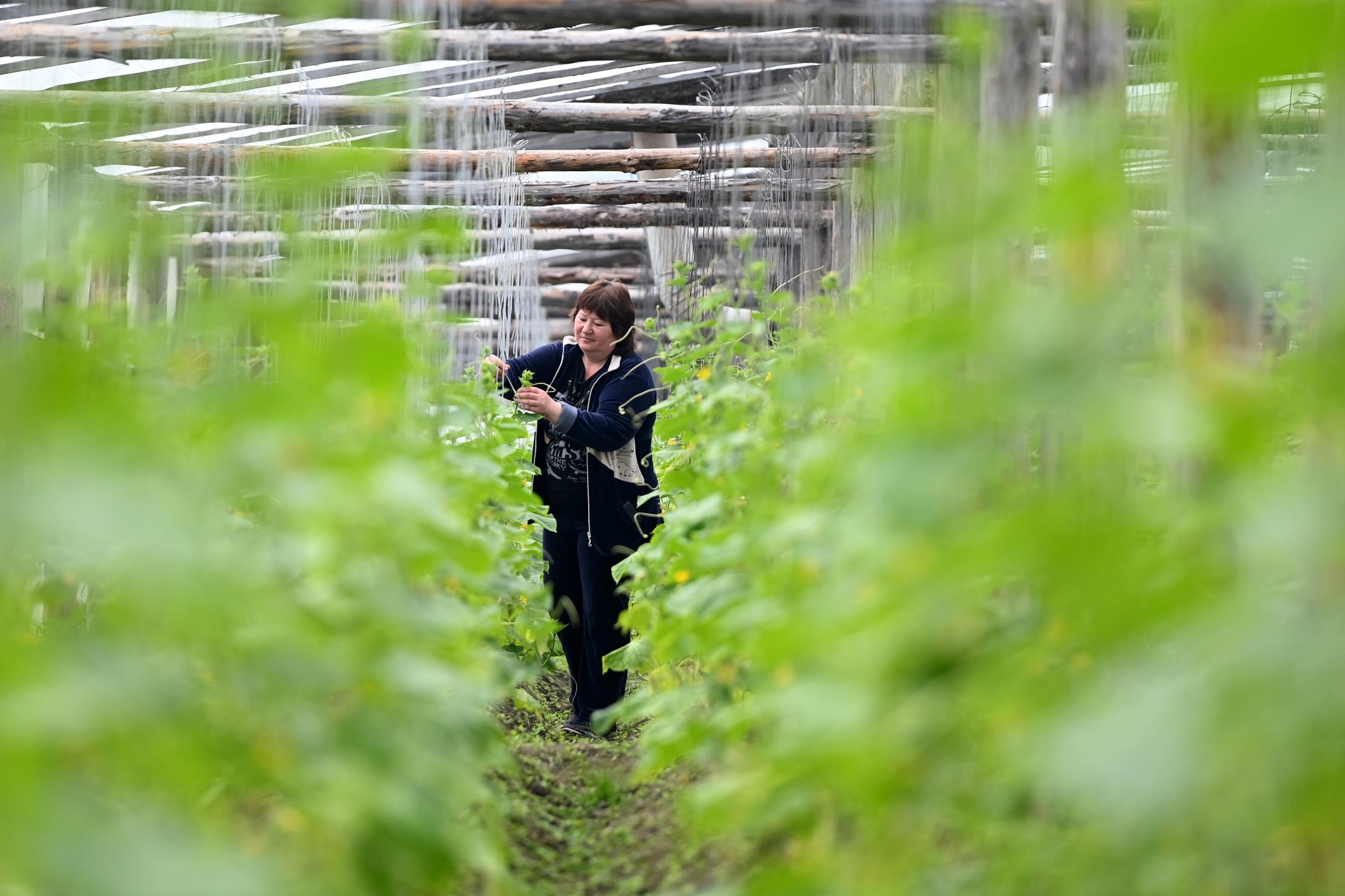 Un agriculteur en Biélorussie