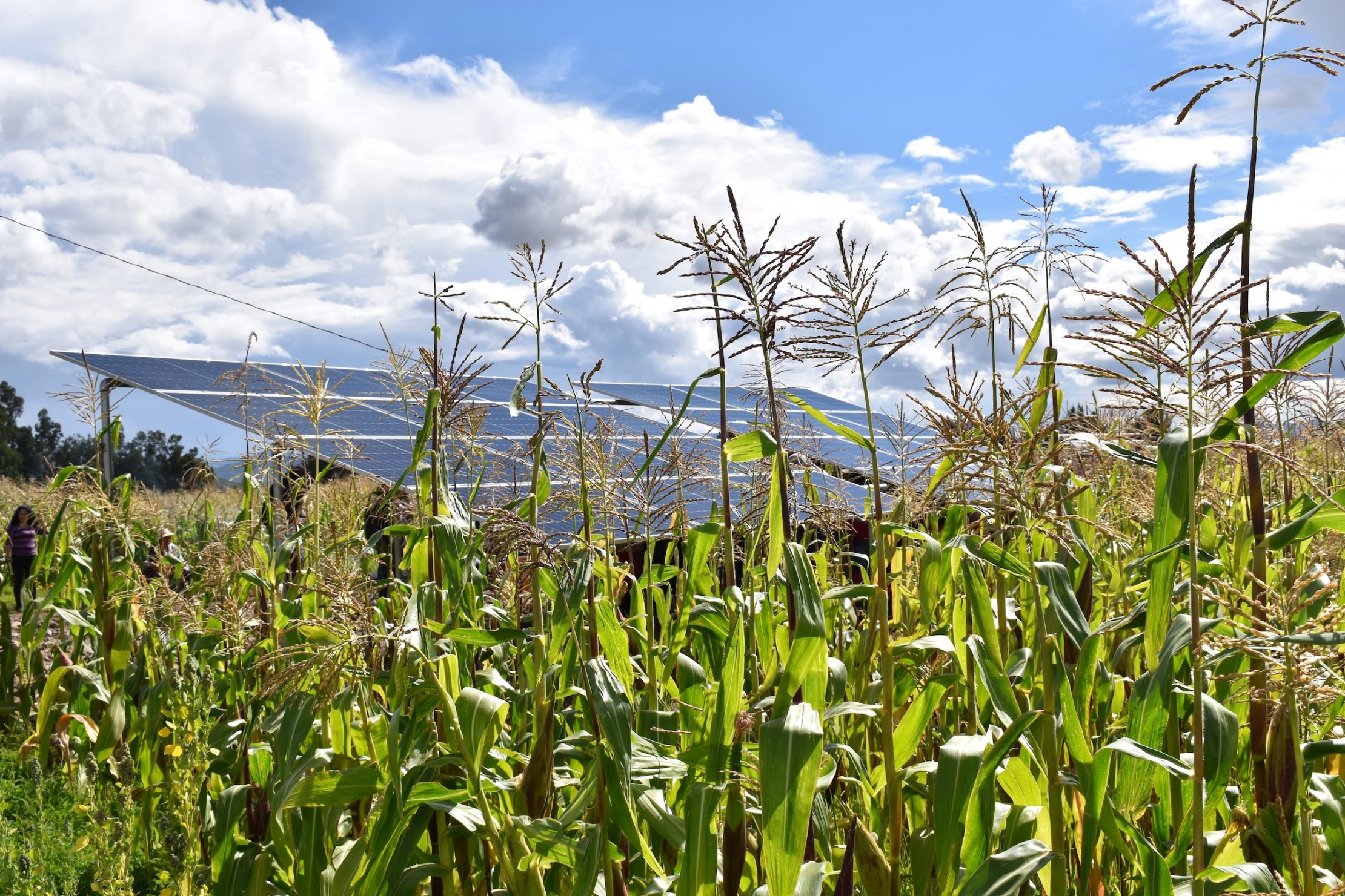 By diversifying its energy mix and expanding renewable generation, Bolivia can reduce dependence on fossil fuels