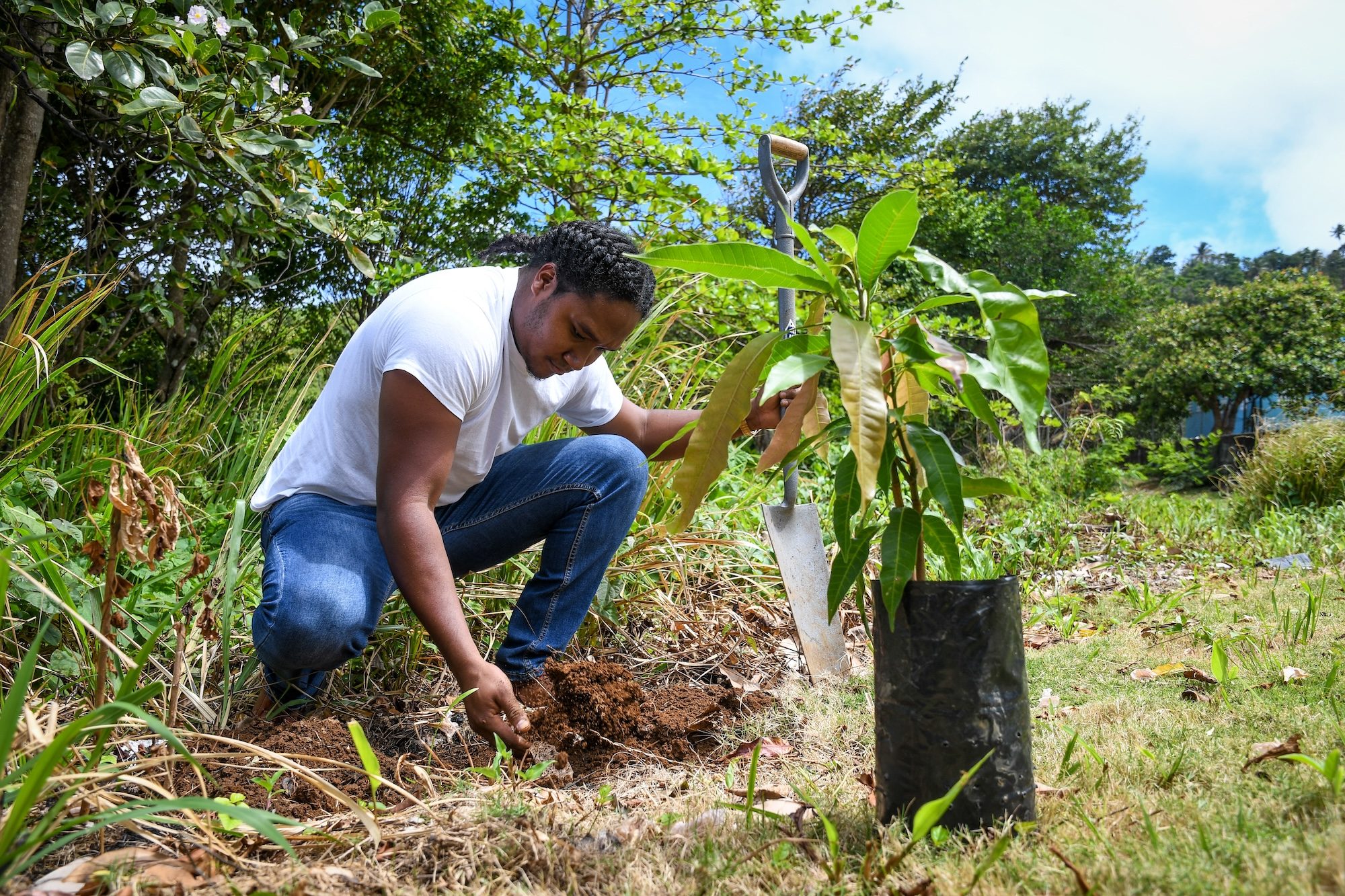 Man planting tree in Dominica