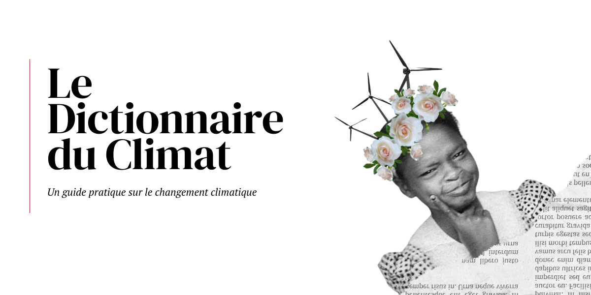 Le Dictionnaire du Climat