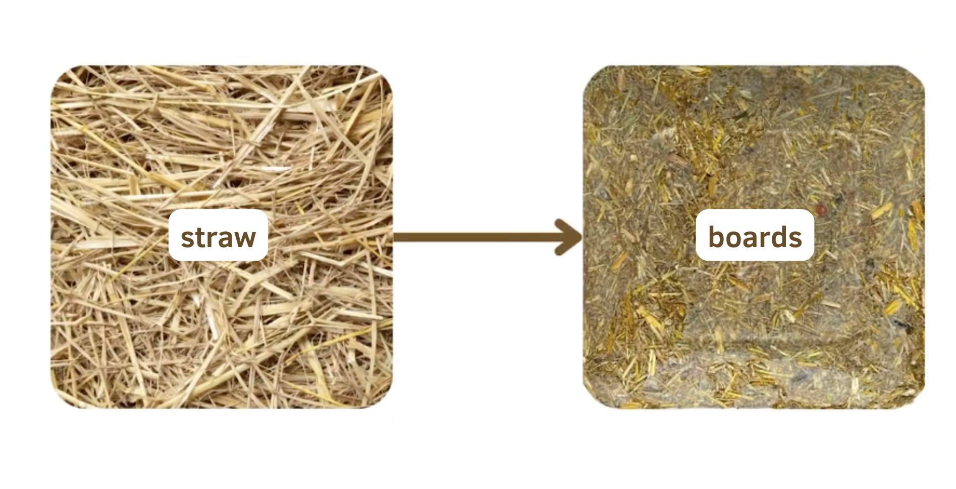 Harwaste turns straw into sustainable construction materials such as building boards. Photo credit: Harwaste