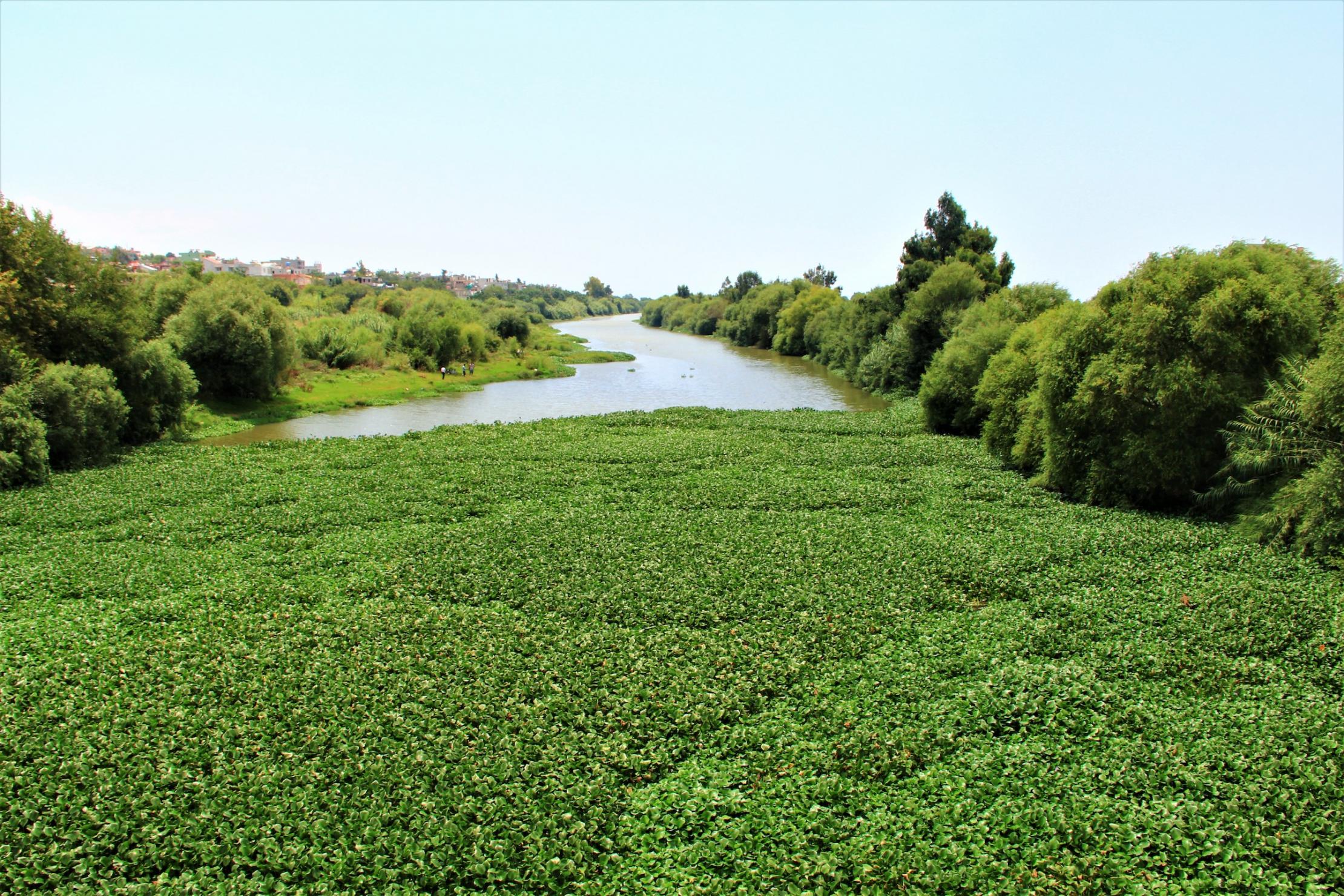 Asi River