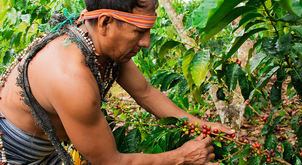 Indigenous community member in Ecuador