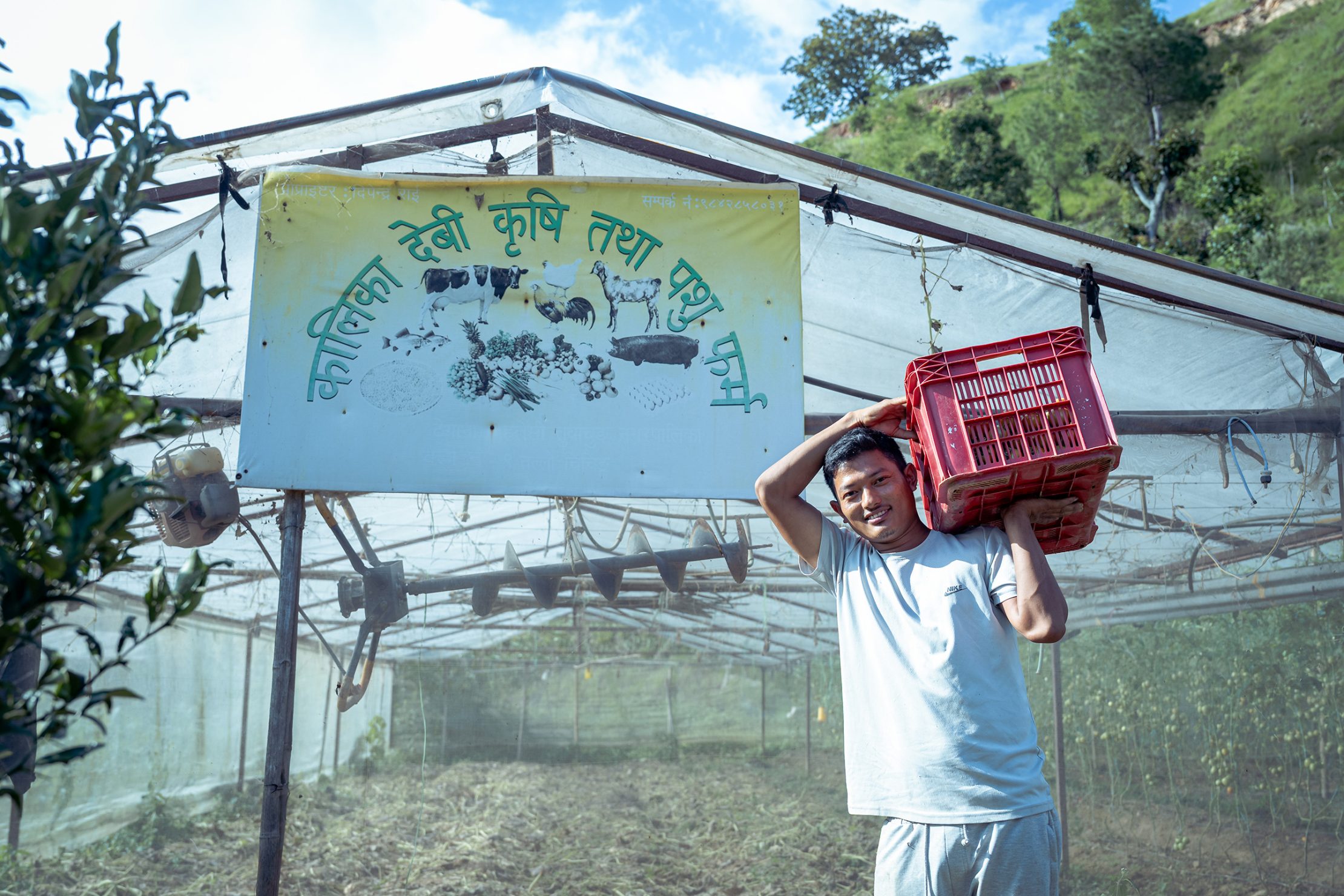 A smiling farmer in Nepal stands outside his greenhouse holding a red crate, showcasing sustainable agriculture supported through climate-resilient farming initiatives. 