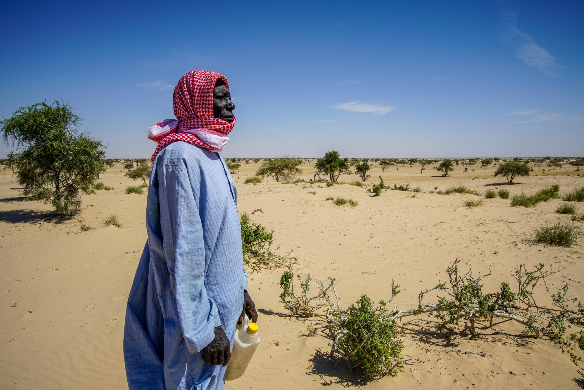 Desertification in Lake Chad