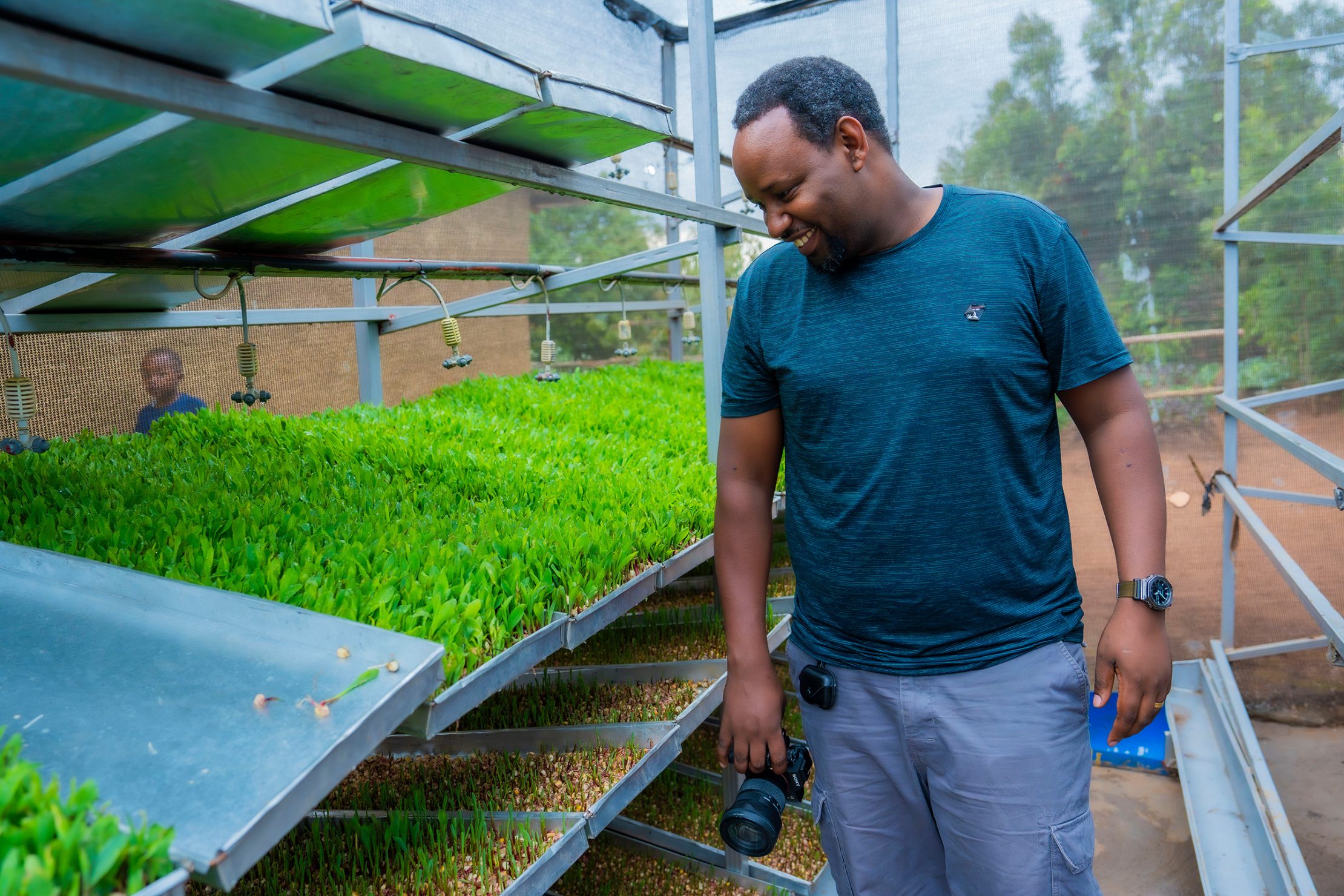 Farmers are growing seedlings for land restoration efforts in Rwamagana. Photo: Uwase Constantin / UNDP Rwanda A man inspects trays of seedlings grown for land restoration efforts supporting climate change resilience in Rwanda’s Rwamagana district.