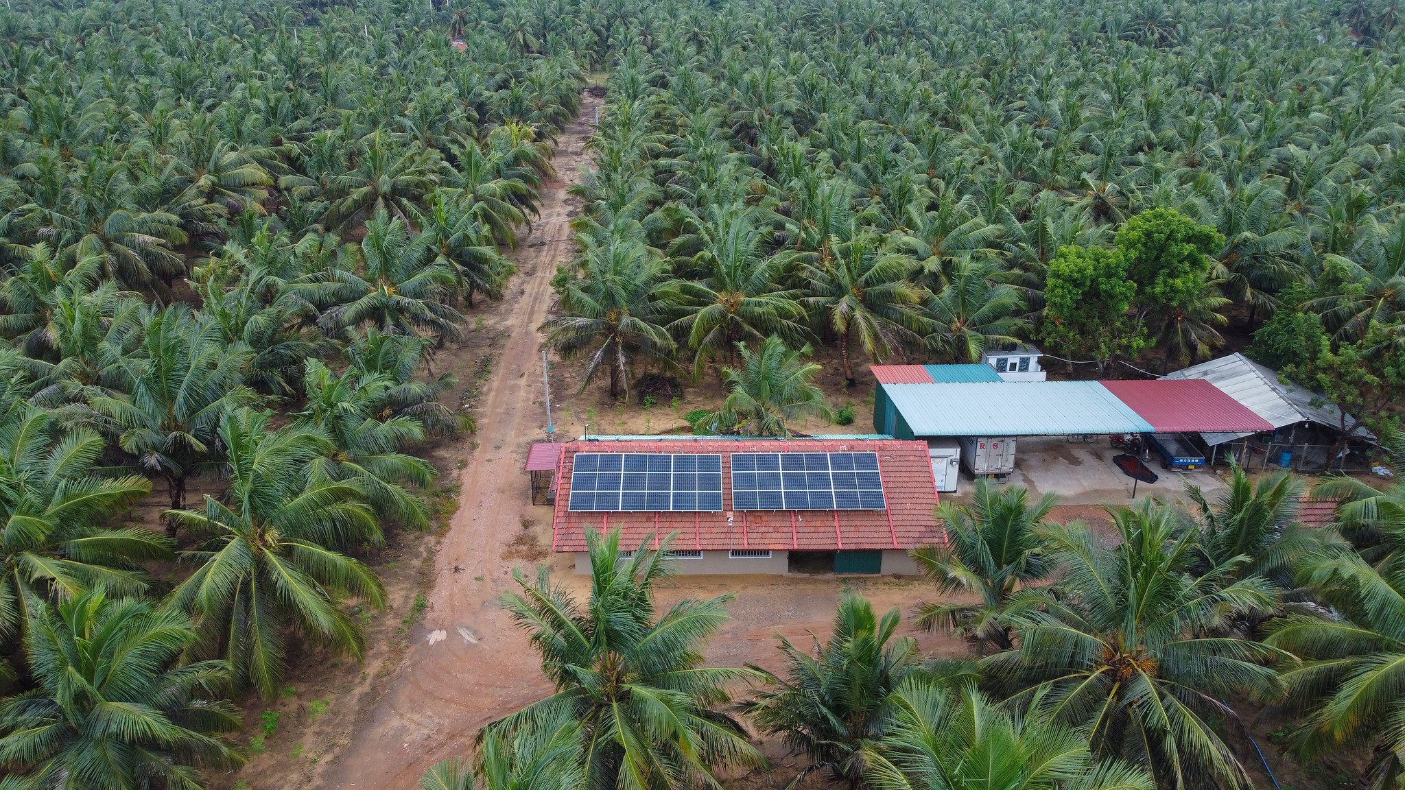 Savings generated by renewable energy helps farmers in Sri Lanka invest in new ventures