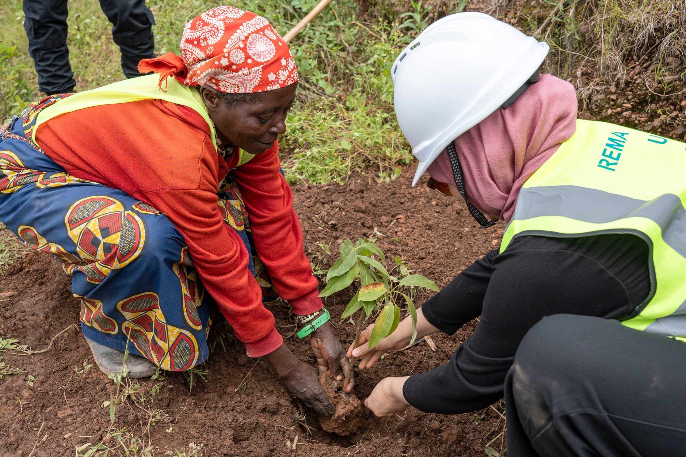 Tree planting activities are part of efforts to climate-proof rural settlements in Gakenke. Photo: Uwase Constantin / UNDP Rwanda Tree planting activities are part of efforts to climate-proof rural settlements in Gakenke