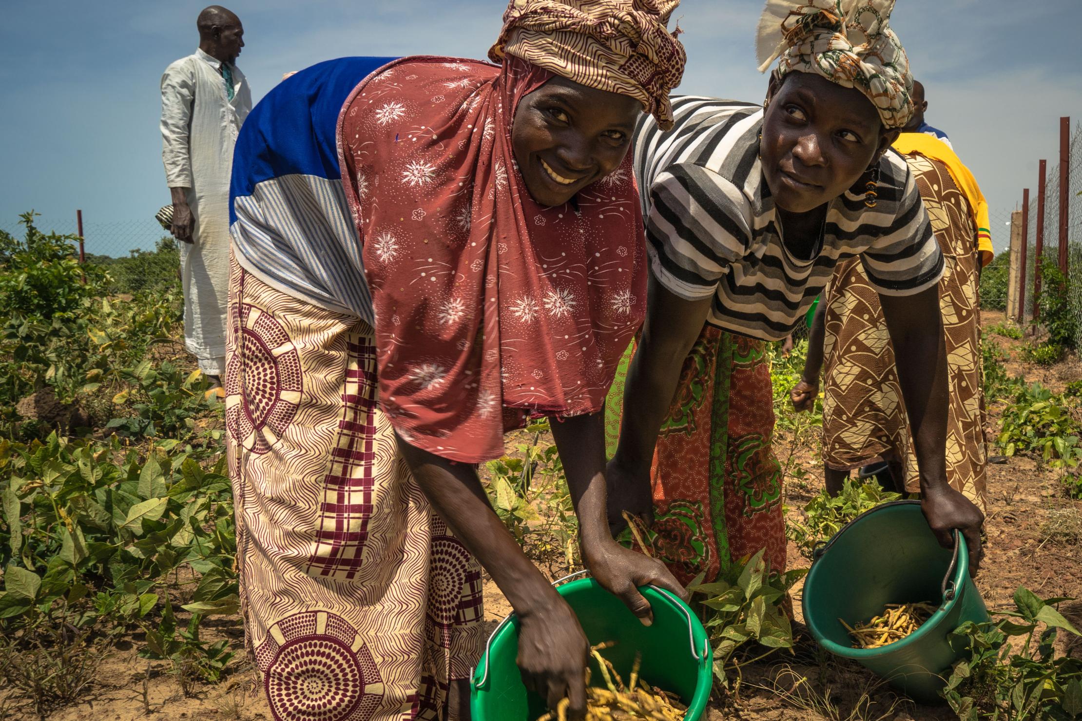 Women in Mali