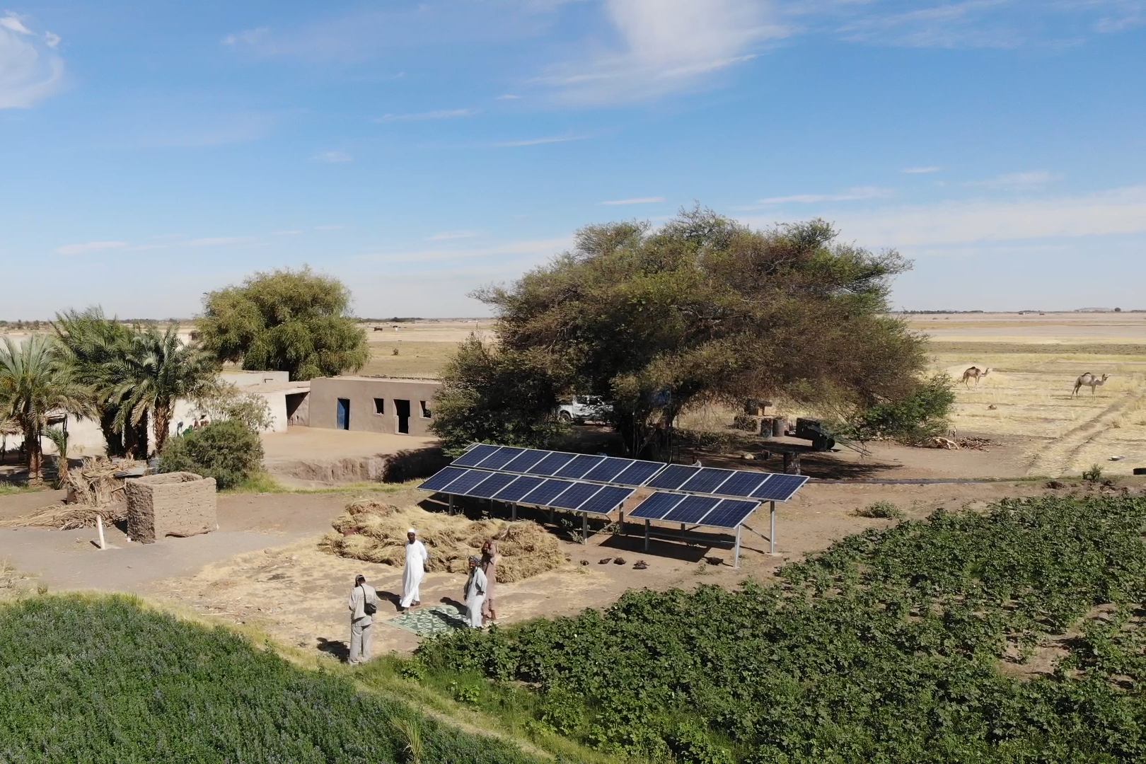 Paneles solares para la agricultura en Sudán