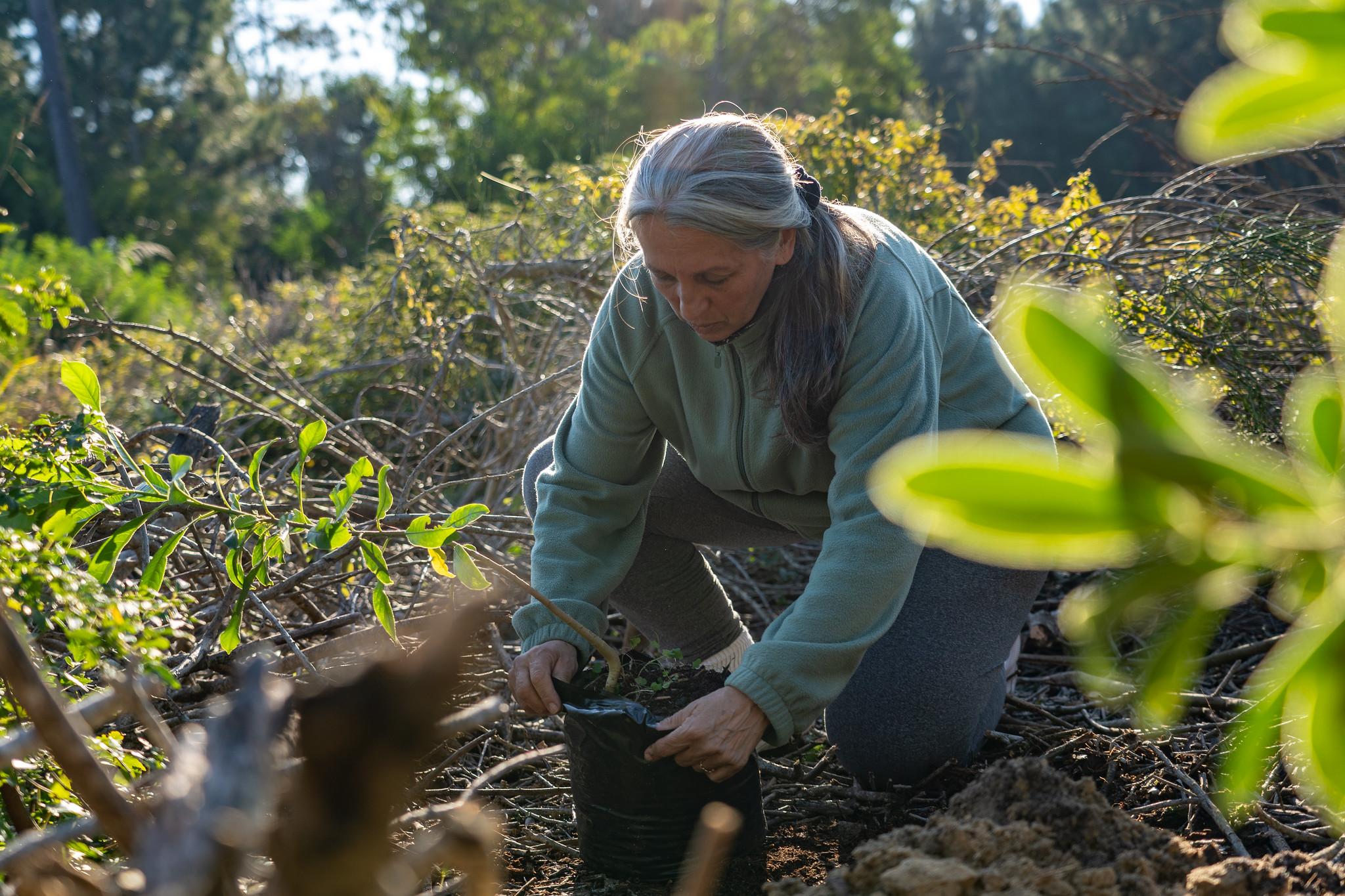 Photo credit: UNDP Uruguay/Antartida Films Woman planting tree in Uruguay