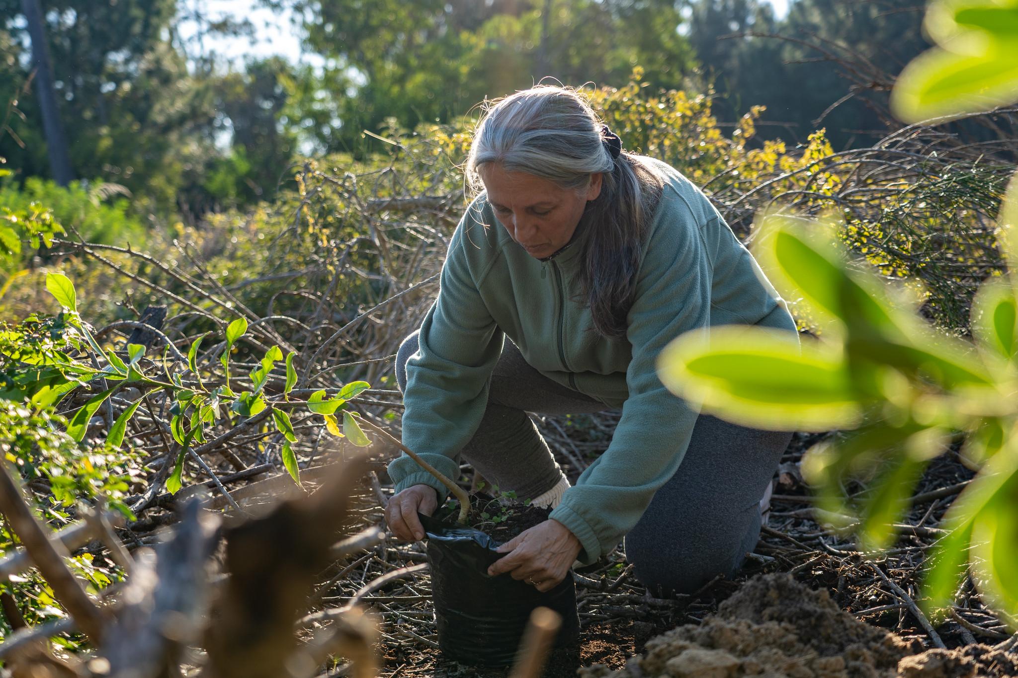 Mujer plantando un árbol en Uruguay