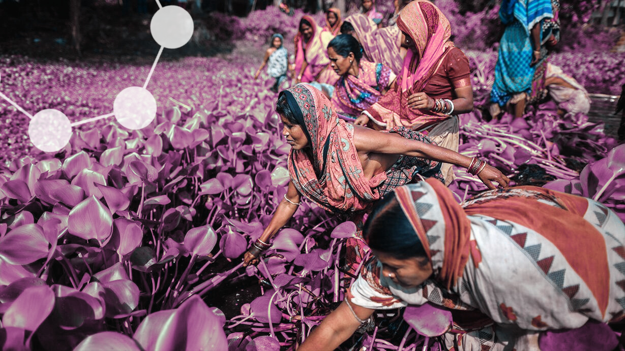 Carbon Markets toolkit