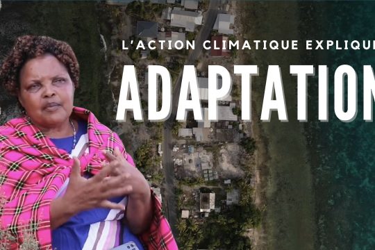 adaptation