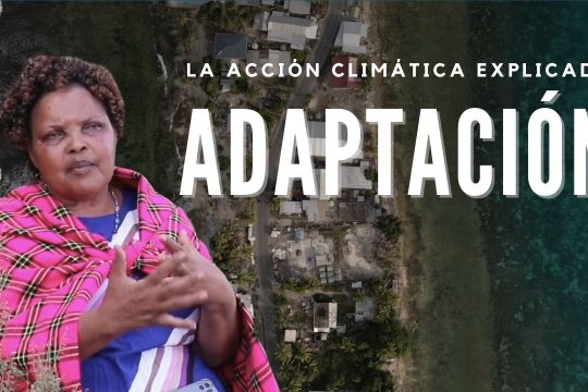 ¿Cómo nos adaptamos al cambio climático?