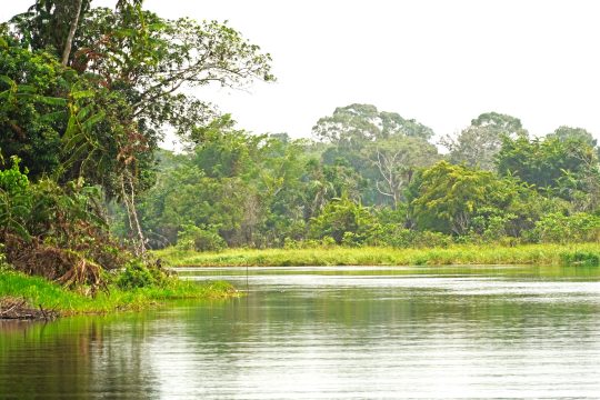 3 ways to improve land use and forest conservation in the Republic of Congo