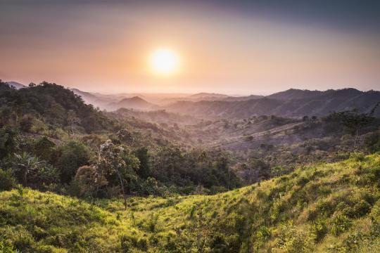 Bosque seco Colombia