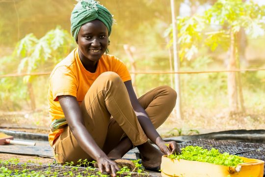 Les pays en développement sont plus prêts que jamais à accélérer l’action climatique