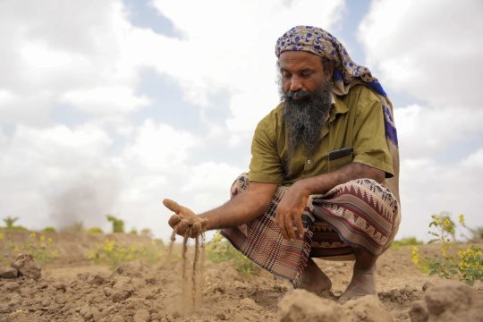 La crisis económica y el cambio climático se ciernen sobre la agricultura del distrito yemení de Al-Majhafah. Foto: PNUD Yemen