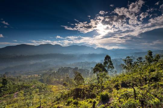 Nature