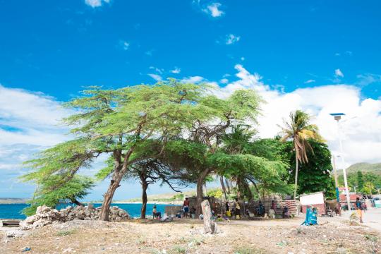 Photo : PNUD Haïti Paysage côtier en Haïti