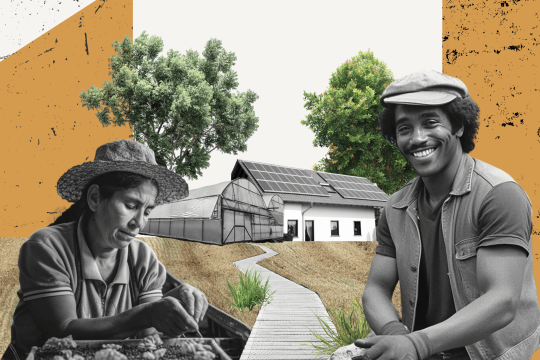 What are Long-term Climate Strategies or LTS?
