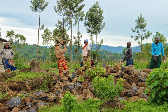 Women in a field in Rwanda