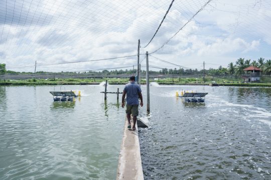 Why strong institutions, transparency and inclusive leadership are key to delivering climate solutions