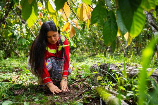 Indigenous woman in forest 
