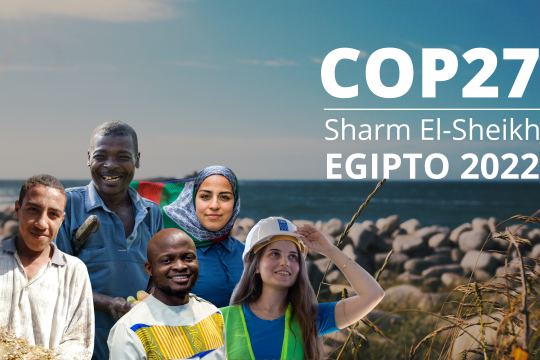 COP27
