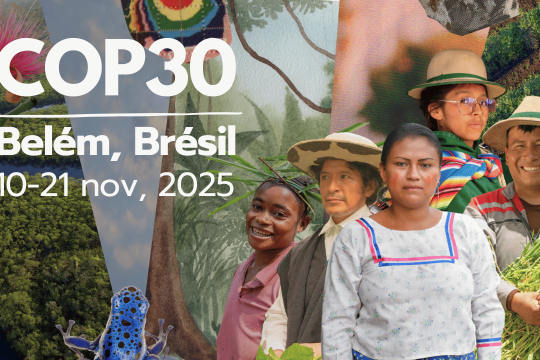 COP30 : La Conférence des Nations Unies sur les changements climatiques