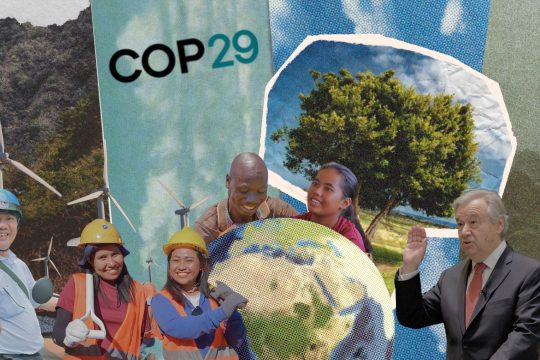 COP29 image