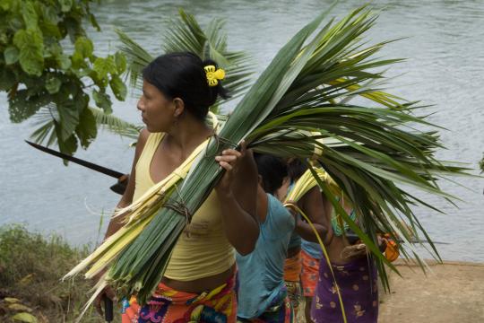 LAC Climate Week 2023