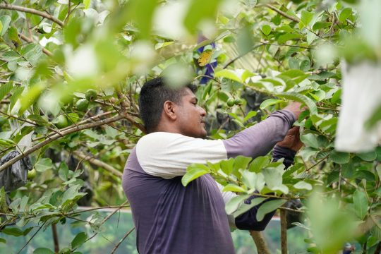 Collaborating for impact – UNDP Climate Promise global workshop