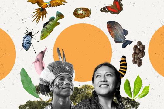 Los conocimientos indígenas son cruciales para la lucha contra el cambio climático: he aquí el porqué