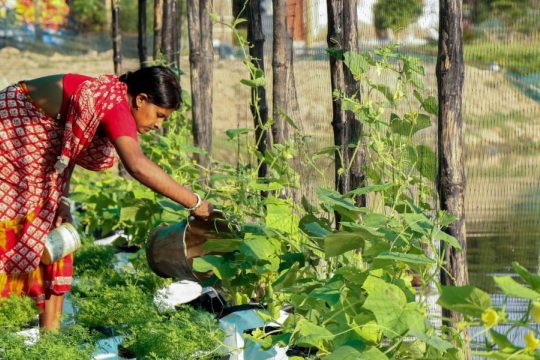 Photo : South Asian Forum for Environment (SAFE), Inde