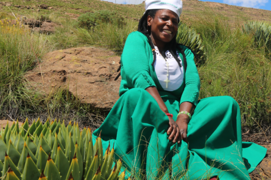 ‘M’e Thabitha Senone– Tšenekeng Botanical Garden, Semonkong. Photo : UNDP Lesotho ‘M’e Thabitha Senone– Tšenekeng Botanical Garden, Semonkong