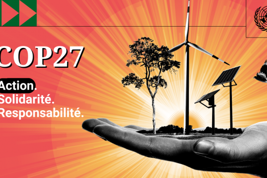 COP27