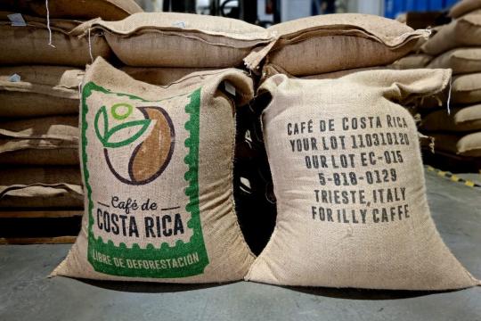 Photo: Exclusive Coffees Costa Rica proudly announced its first shipment of deforestation-free coffee