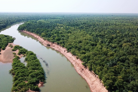 UNDP and the Pan African Agency of the Great Green Wall team up to green the Sahel Aerial view of a forest and a river in Africa