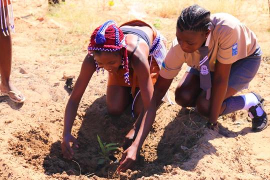 Learners of Himalwa Ithete senior secondary school planting a tree. Photo : UNDP Namibia Learners of Himalwa Ithete senior secondary school planting a tree