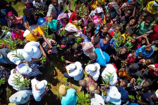 People getting together to plant trees in Comoros. Photo : UNDP Comoros People getting together to plant trees in Comoros