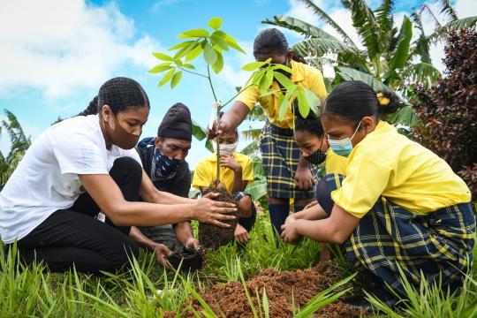 Students planting trees in Dominica