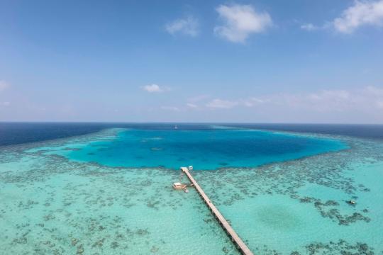 Photo: Will Seal / UNDP Sudan Sanganeb National Park, Port Sudan, Sudan