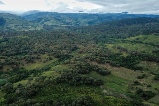 Photo credit: UNDP Honduras Honduras coffee plantation landscape