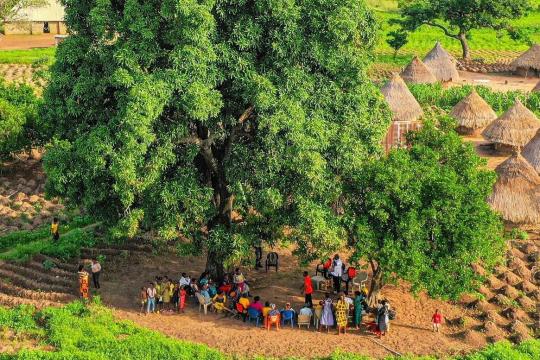 Photo: UNPD Nigeria countryside in Nigeria