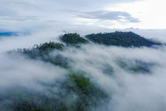 Photo: KalFor Project / UNDP Indonesia