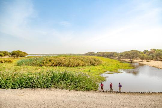 Photo: UNDP Chad/Aurelia Rusek Lac Tchad