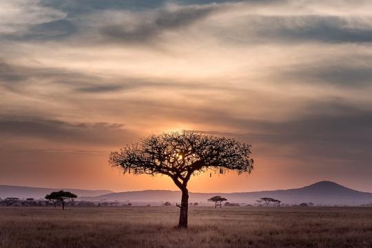 Serengeti, Tanzania. Photo: Hu Chen/Unsplash.com Serengeti, Tanzania